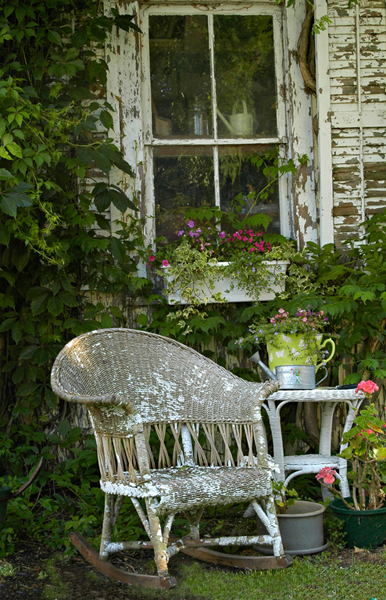 Backyard   D Steinmeyer   Copy